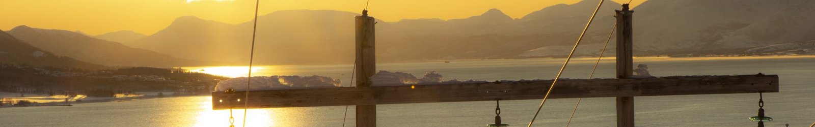 Hvorfor måler vi pulsen på strømnettet?