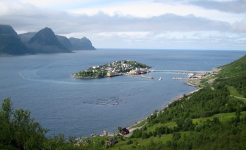 Br.Karlsen stengte i vinter deler av strømforbruket 111 ganger