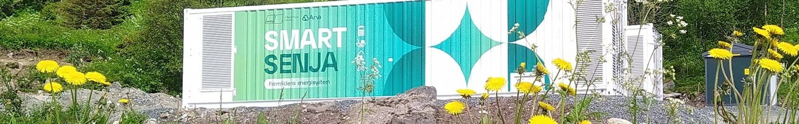 Hvordan har batteriene fungert